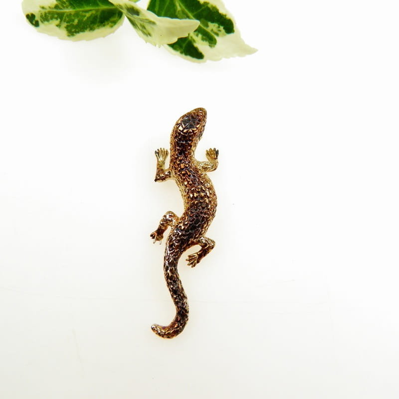 Broszka- Salamandra brązowa
