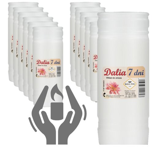 Wkład do znicza DALIA 7 - 12 sztuk całe opakowanie Max Pol