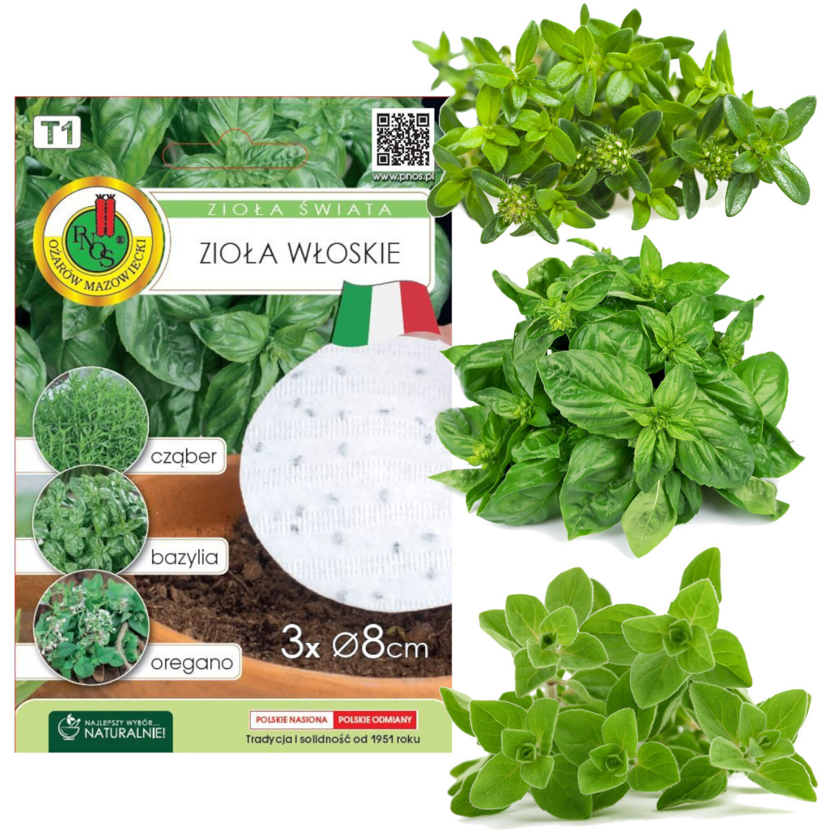 ZIOŁA WŁOSKIE CZĄBER BAZYLIA OREGANO NASIONA