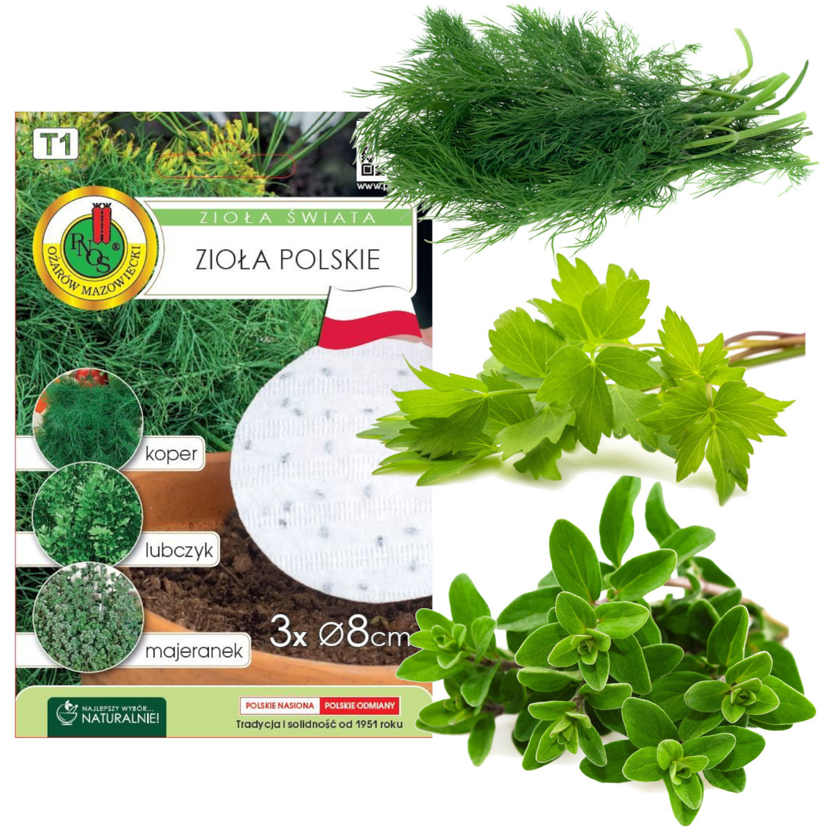 ZIOŁA KOPER LUBCZYK MAJERANEK NA TAŚMIE NASIONA