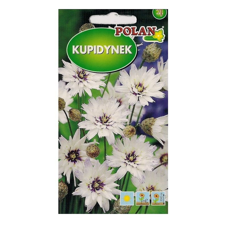 KUPIDYNEK biały na suche bukiety nasiona kwiatów 0,1g