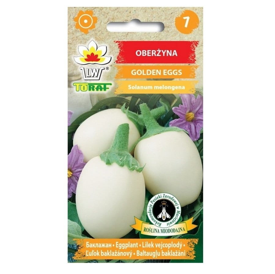OBERŻYNA GOLDEN EGGS - bakłażan ozdobny, nasiona warzyw 0,1g