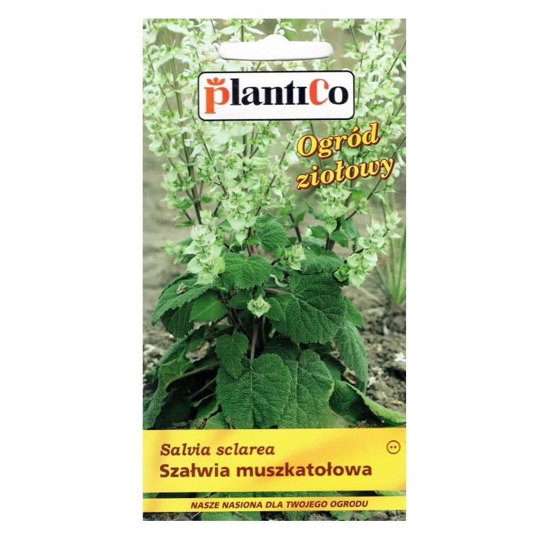SZAŁWIA MUSZKATOŁOWA nasiona ziół i przypraw 0,5g