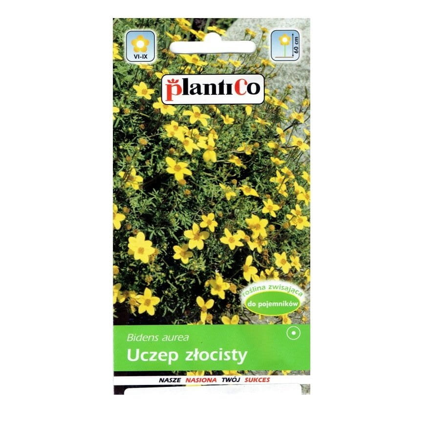 UCZEP ZŁOCISTY Bidens aurea nasiona kwiatów 0,2g