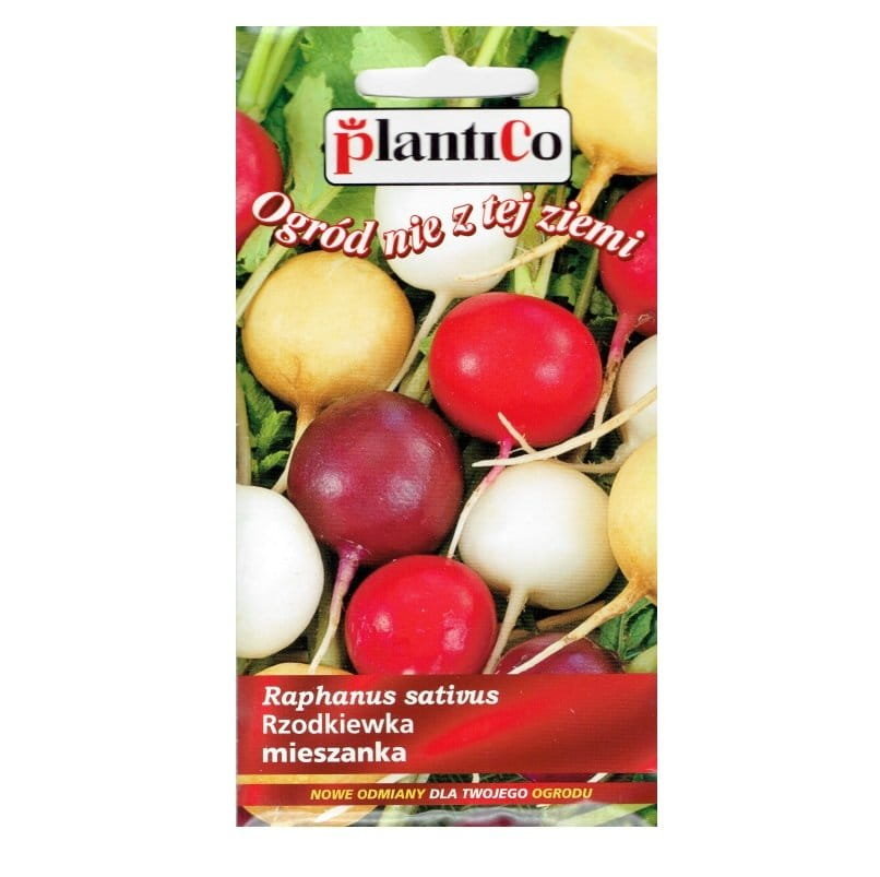 Rzodkiewka MIESZANKA KOLOROWYCH ODMIAN nasiona 5g