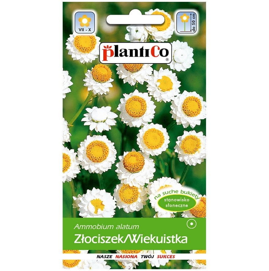 ZŁOCISZEK WIEKUISTKA BIAŁA nasiona kwiatów 1g