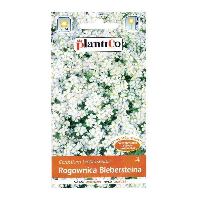 ROGOWNICA BIEBERSTEINA BIAŁA nasiona PlantiCo 0,3g - Cerastium, bylina