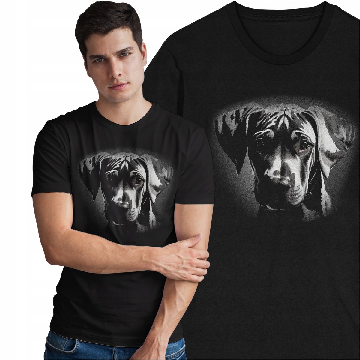 Koszulka Great Dane Dog Pies Piesek T-shirt z Psem Zwierzęta