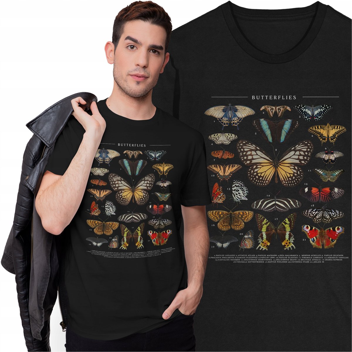 Koszulka Motyle Kolekcja Entomologiczna Zbiór Owadów Zwierzęta Butterflies