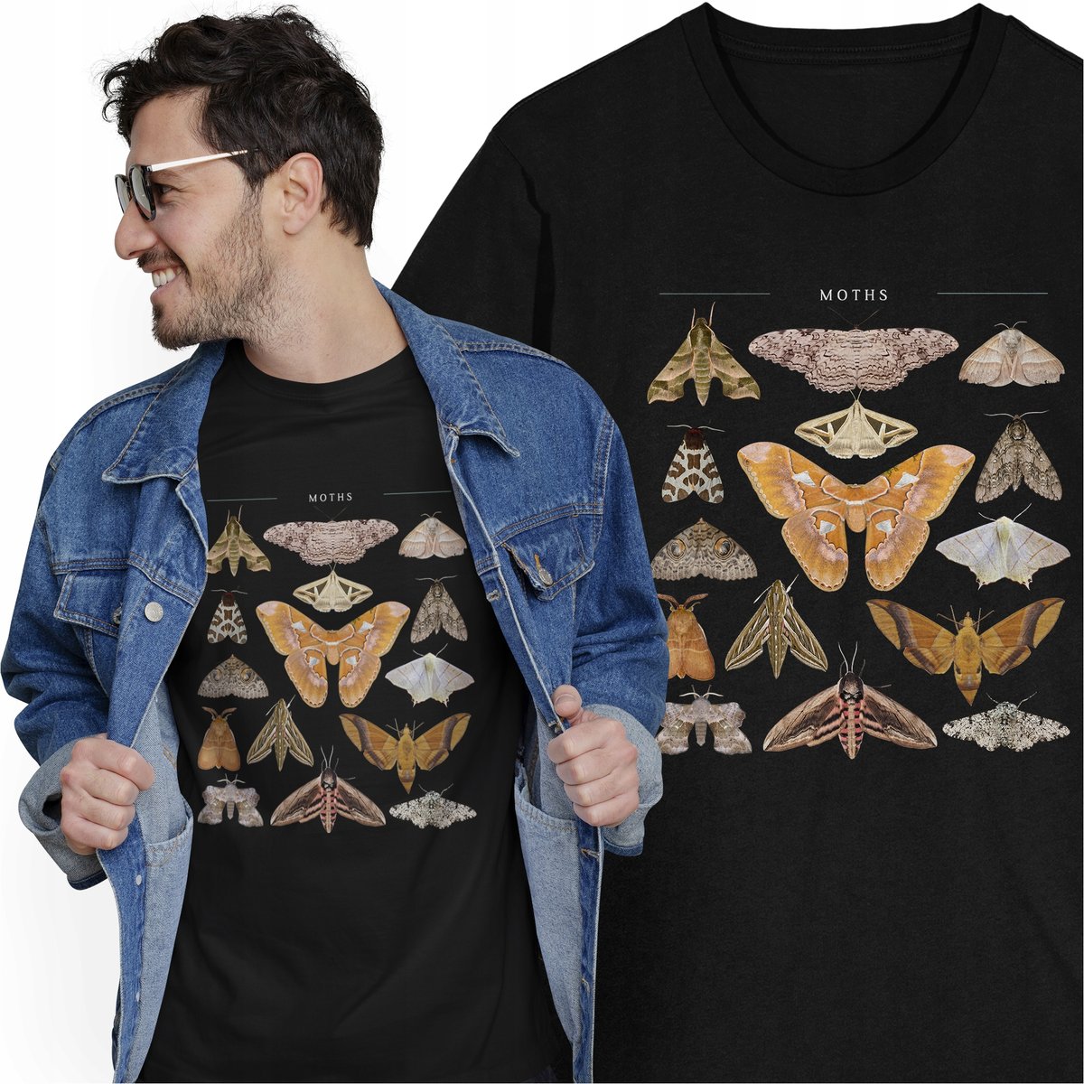 Koszulka Owady Kolekcja Entomologiczna Zbiór Owadów Zwierzęta Zoologia