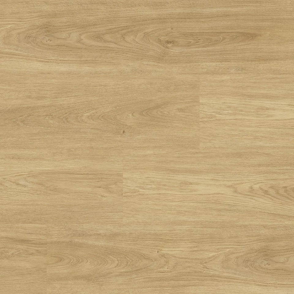 PANELE PODŁOGOWE FAUS SENSE NATURAL OAK SENSE S184237 AC6 8mm 4V-fuga
