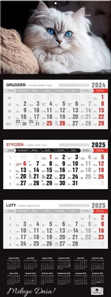 Kalendarz 2025 Trójdzielny Premium Kot - Pan Kalendarzyk