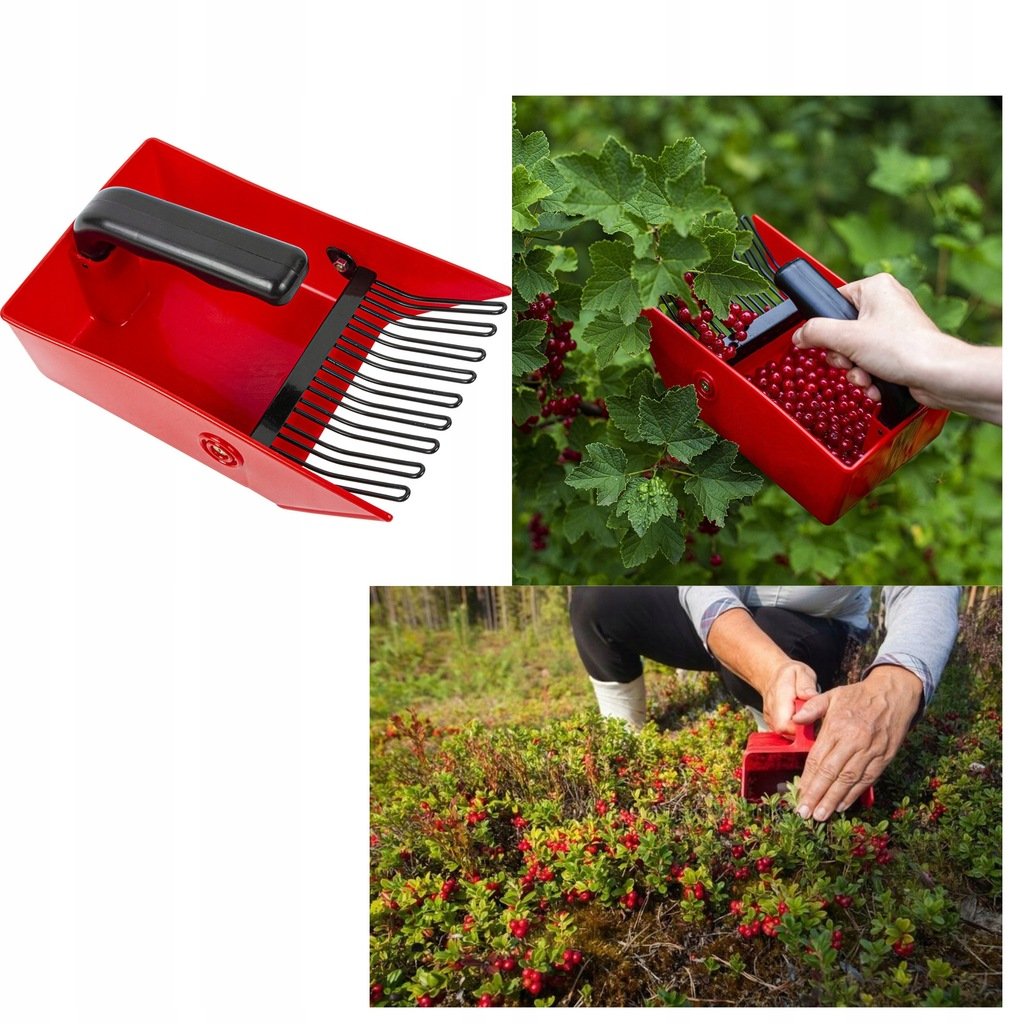 Zbieraczka Grzebień Do Jagód Borówek Porzeczek Owoców Metalowe Zęby Solidna
