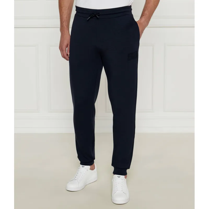 EA7 Spodnie dresowe | Regular Fit