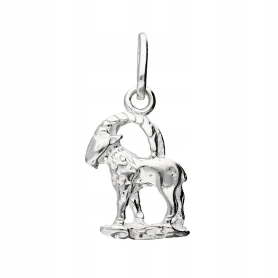 Wisiorek Srebrny Znak Zodiaku Srebro925 Koziorożec