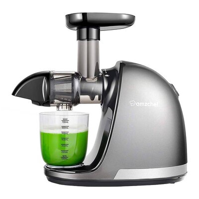 Amzchef Wyciskarka do Warzyw i Owoców Wolnoobrotowa, 150W, Srebrny