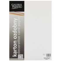 Karton ozdobny A4 biały 240g płótno op20ark GALERIA PAPIERU 202121 ARG