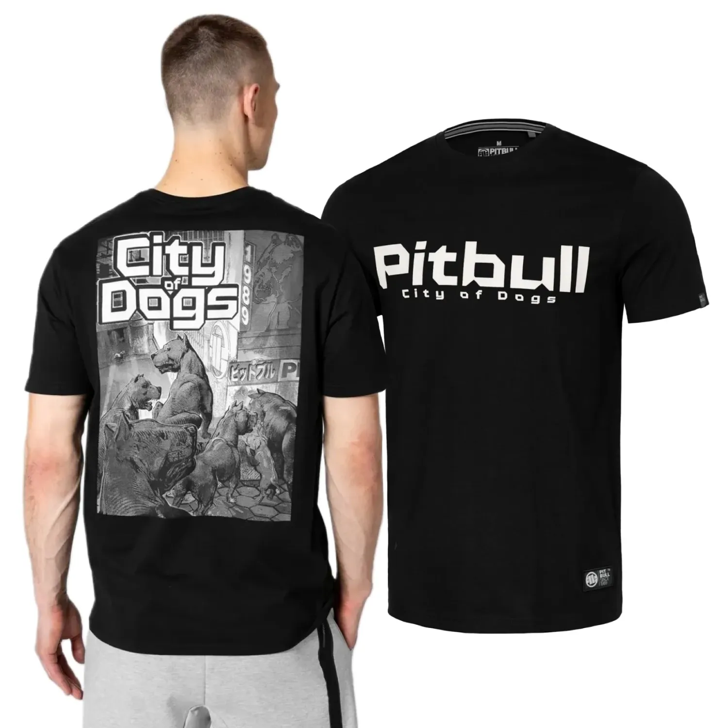 Koszulka Pit Bull Middle Weight 170 Basic City Of Dogs '24 - Czarna XL