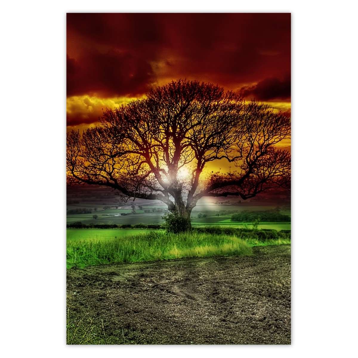 Naklejka ścienna 105x155 Magiczne drzewo krajobraz