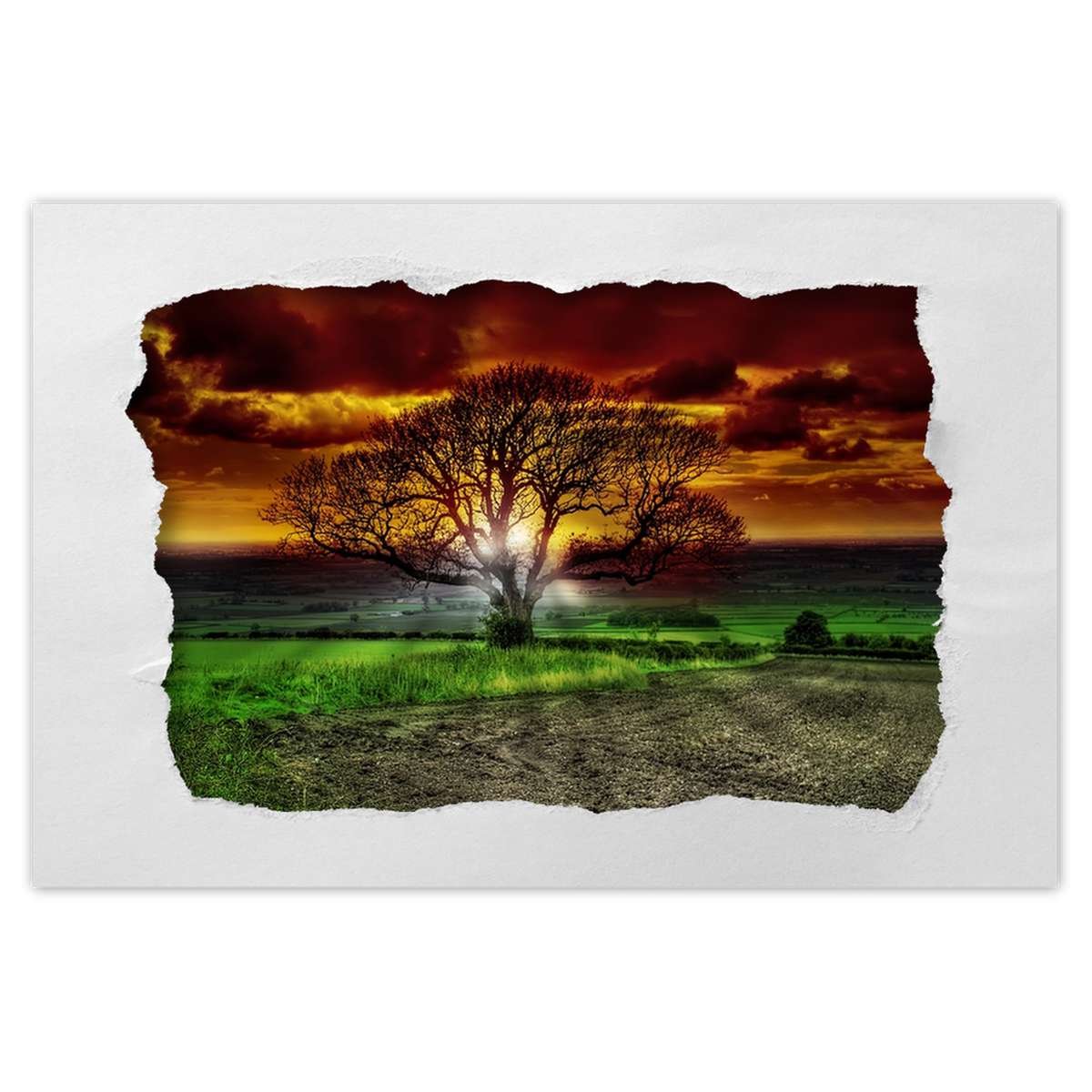 Naklejka ścienna 90x60 Magiczne drzewo krajobraz