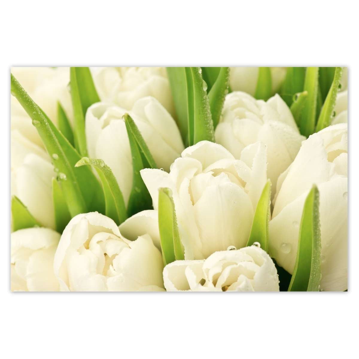 Naklejka ścienna 90x60 Delikatne tulipany
