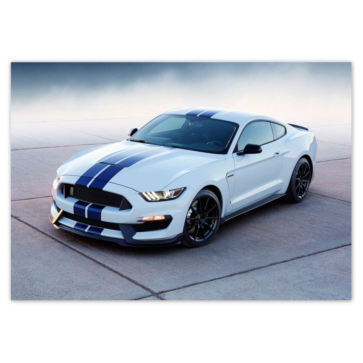 Naklejka ścienna A1 POZIOM Ford Mustang Shelby
