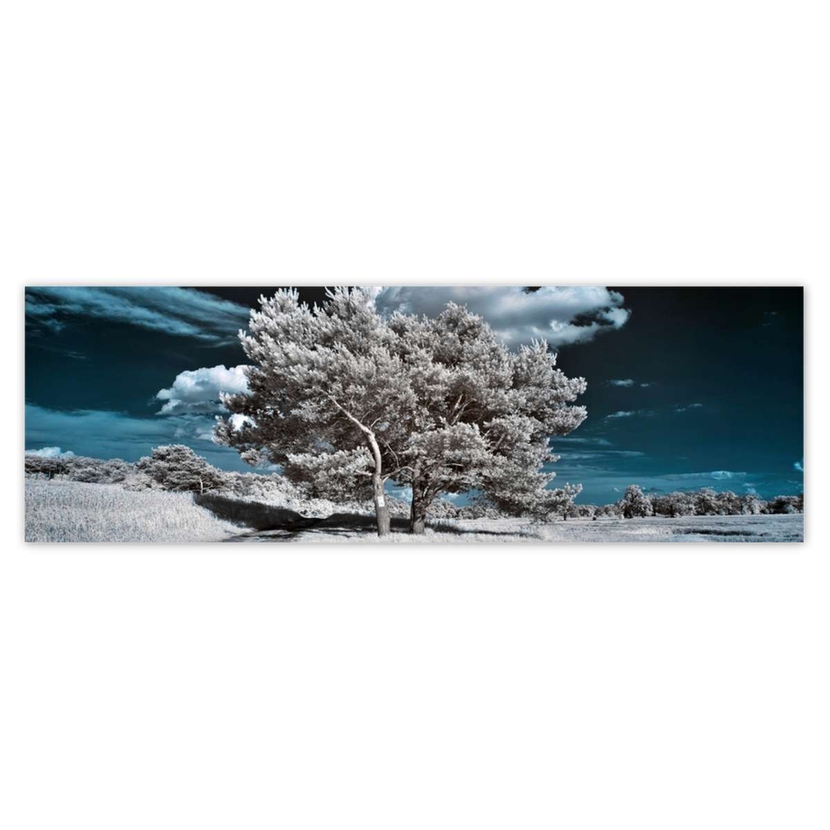 Naklejka ścienna 200x66 Drzewko
