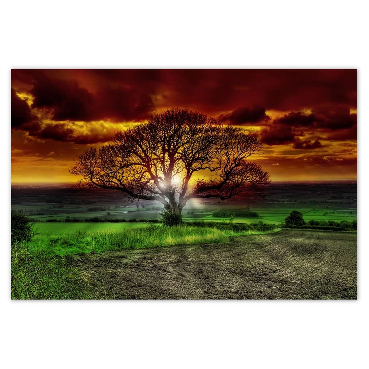 Naklejka ścienna 120x80 Magiczne drzewo krajobraz