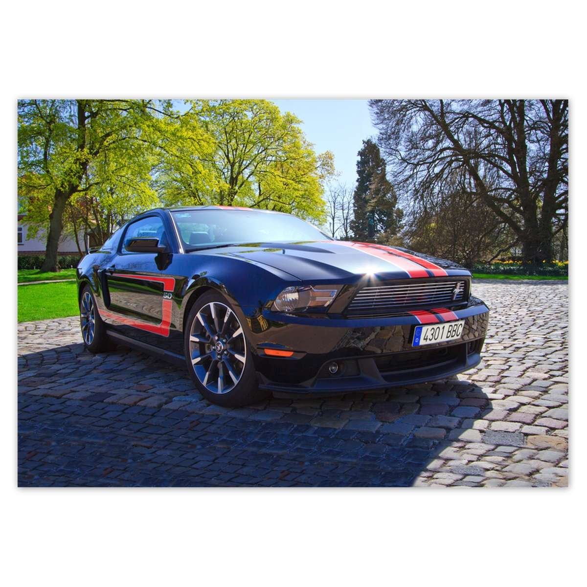 Naklejka ścienna A5 POZIOM Ford Mustang