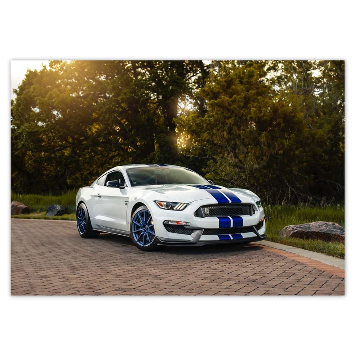 Naklejka ścienna A5 POZIOM Sportowy Ford Mustang