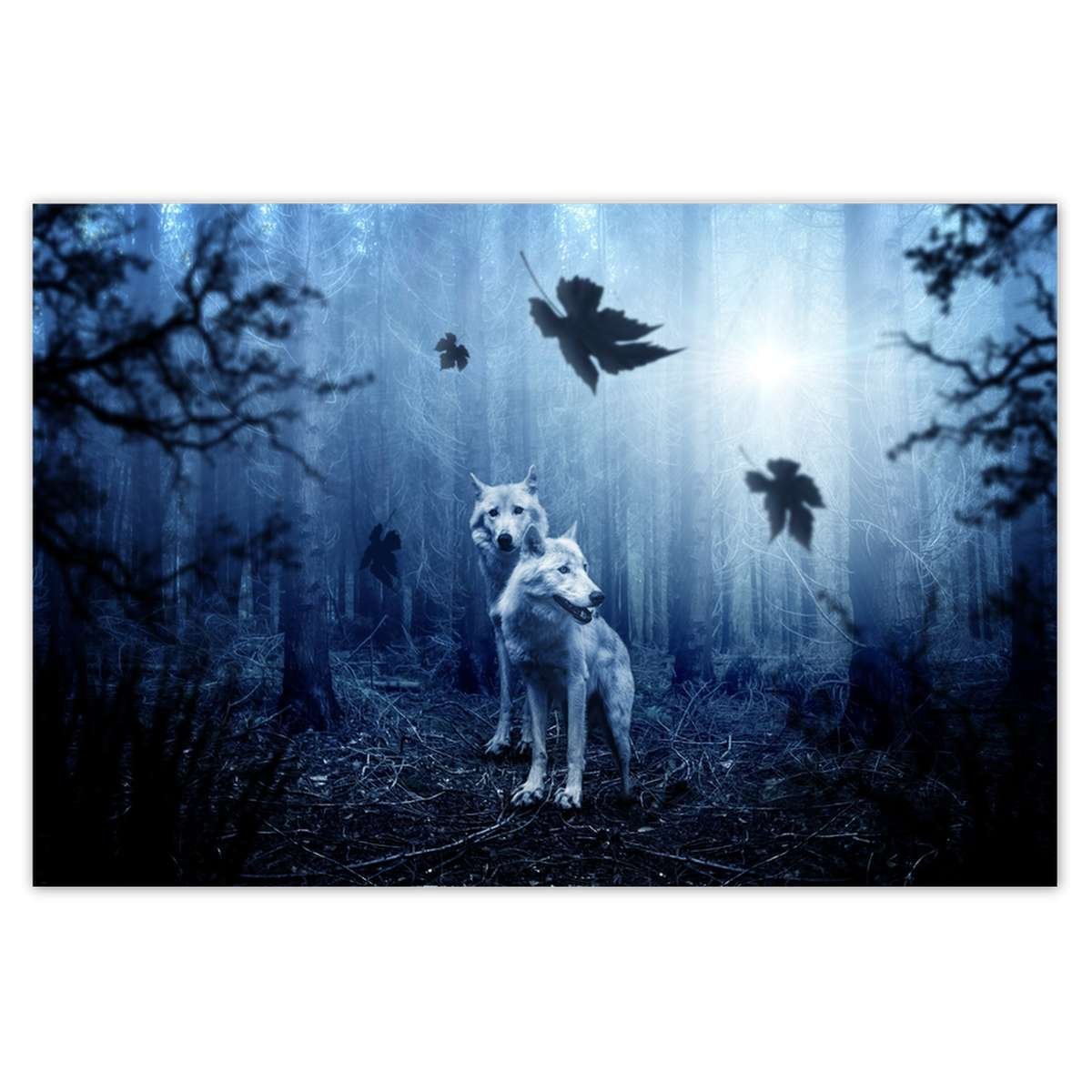 Naklejka ścienna 93x62 Wilki