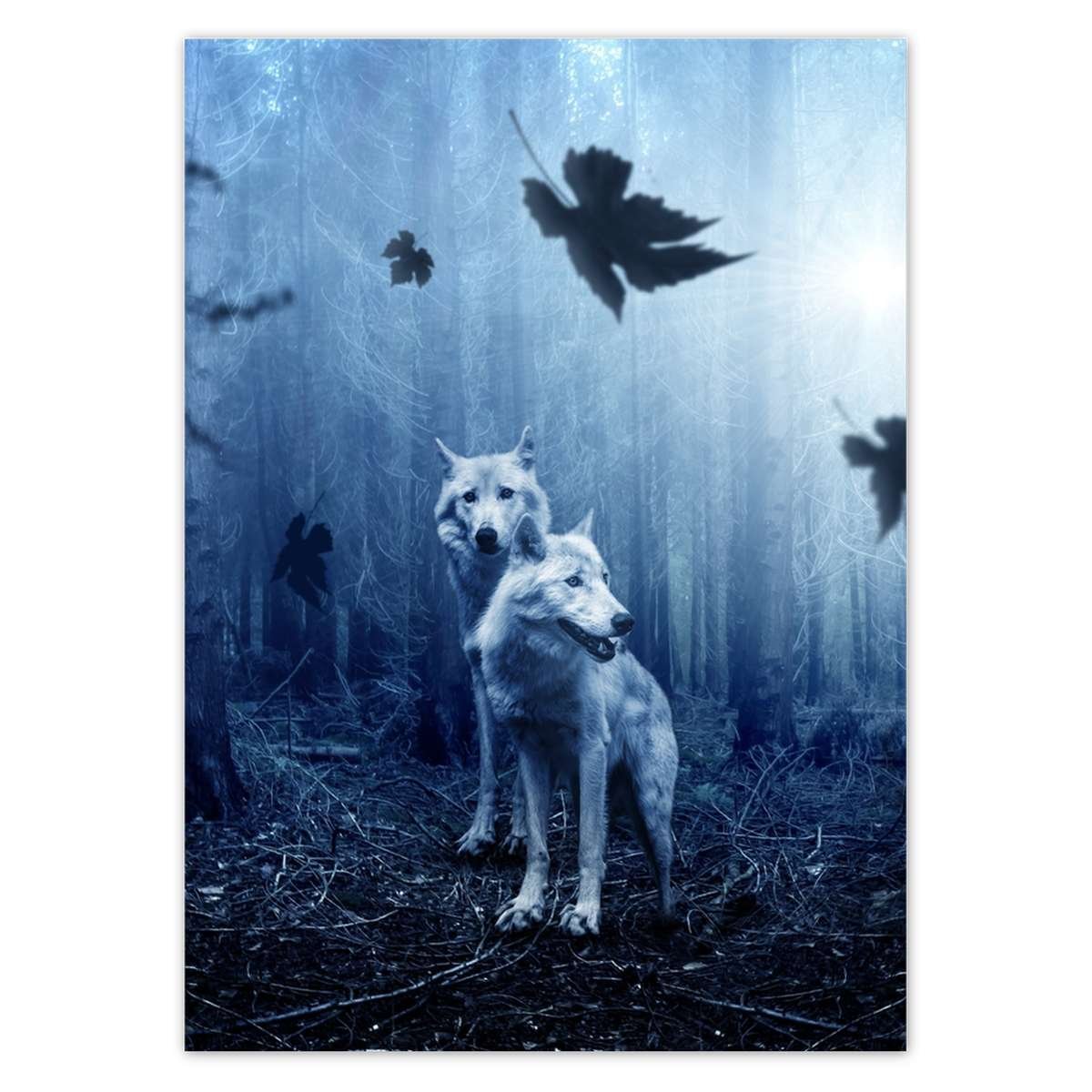 Naklejka ścienna 50x70 Wilki