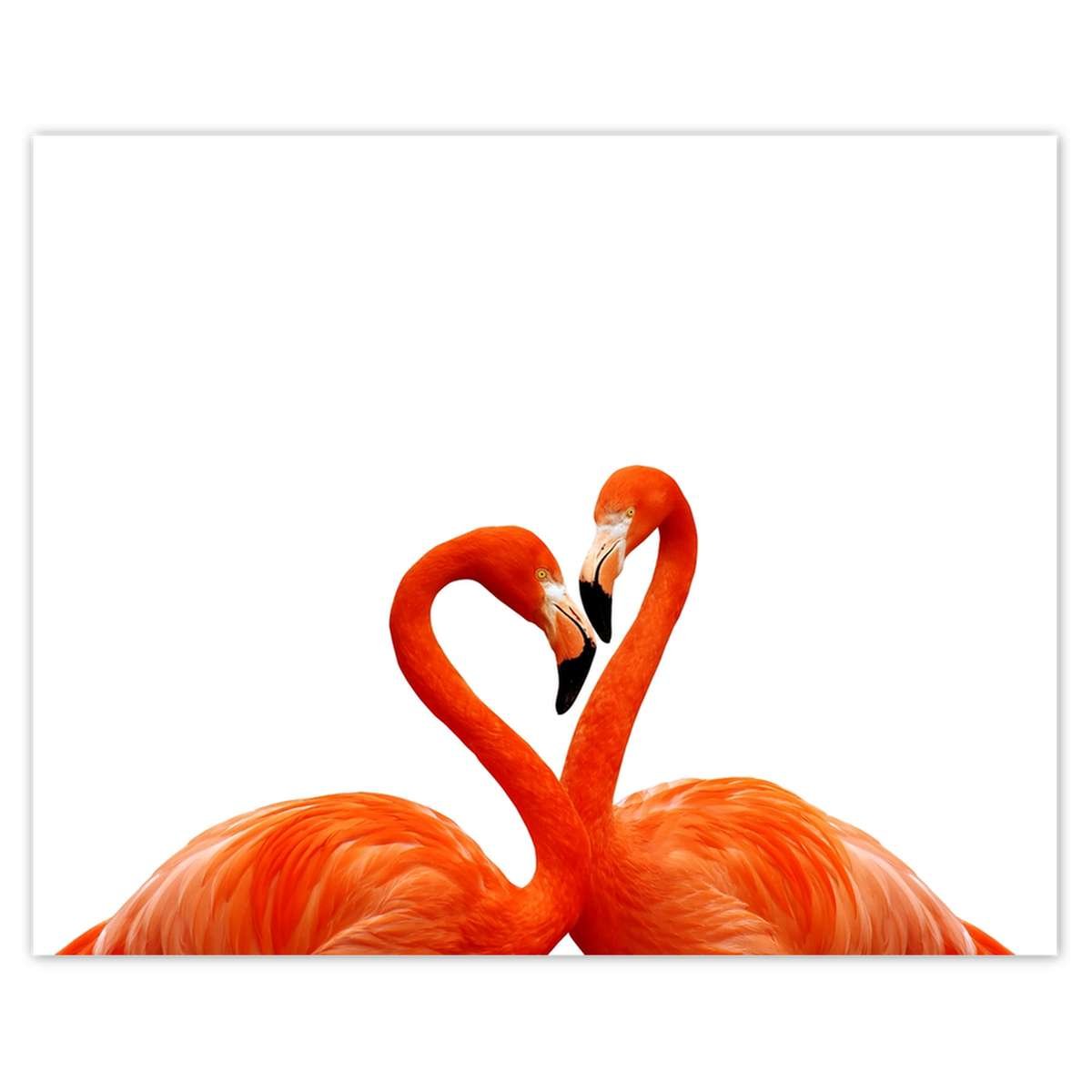 Naklejka ścienna 50x40 Zakochane flamingi