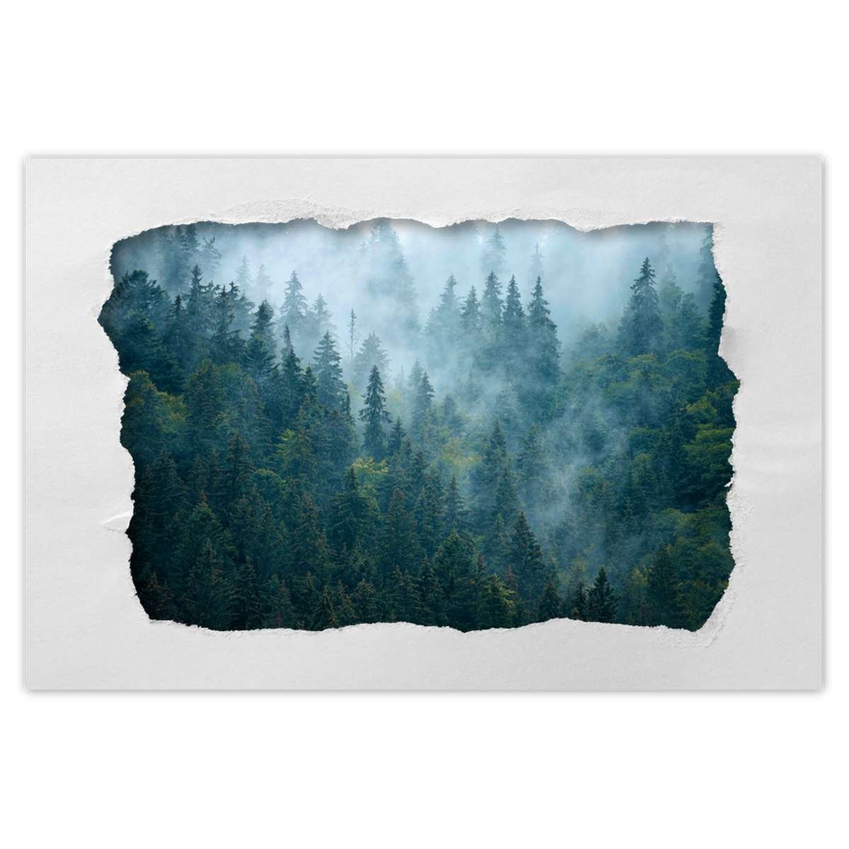Naklejka ścienna 120x80 Las we mgle