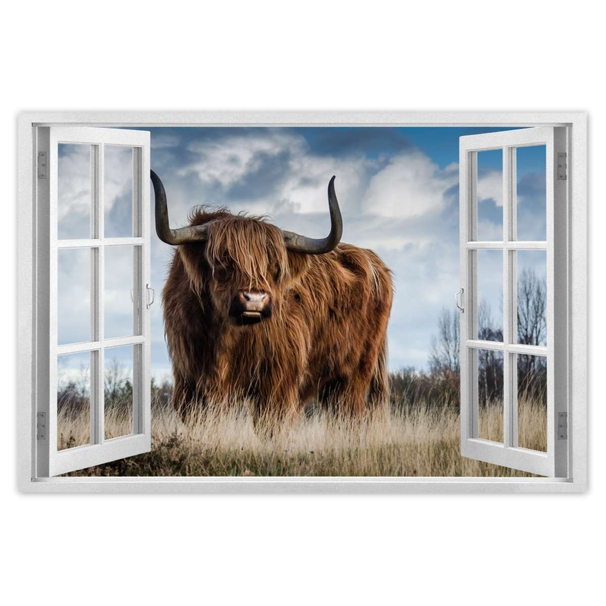 Naklejka ścienna 90x60 Krowa szkocka wyżynna