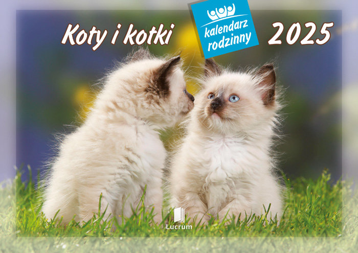 Kalendarz ścienny rodzinny 2025, Koty i kotki