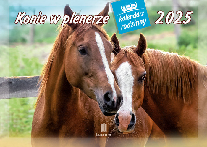Kalendarz ścienny rodzinny 2025, Konie w plenerze