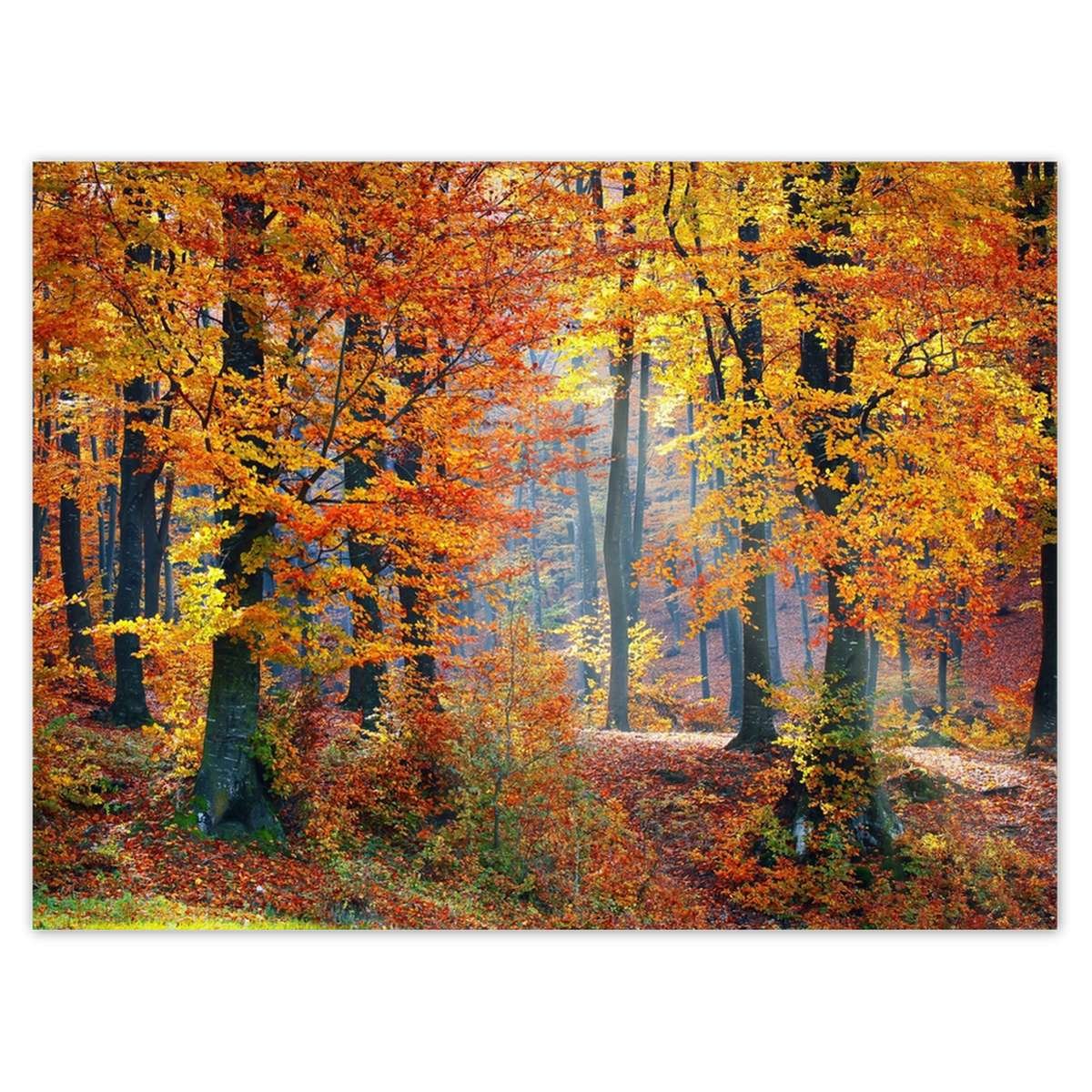 Naklejka ścienna 40x30 Złota jesień