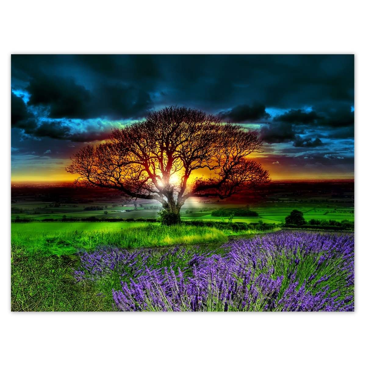 Naklejka ścienna 40x30 Drzewo życia