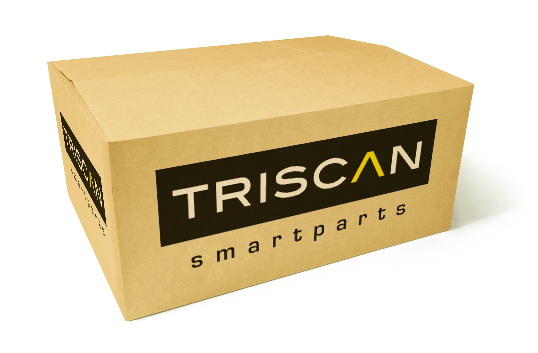 Pierścień abs TRISCAN 8540 28401