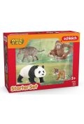 Zestaw startowy Wild Life Azja