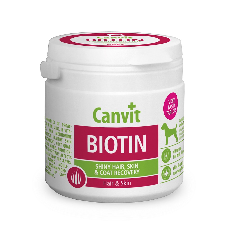 CANVIT Dog Biotin 100g suplement na skórę i sierść