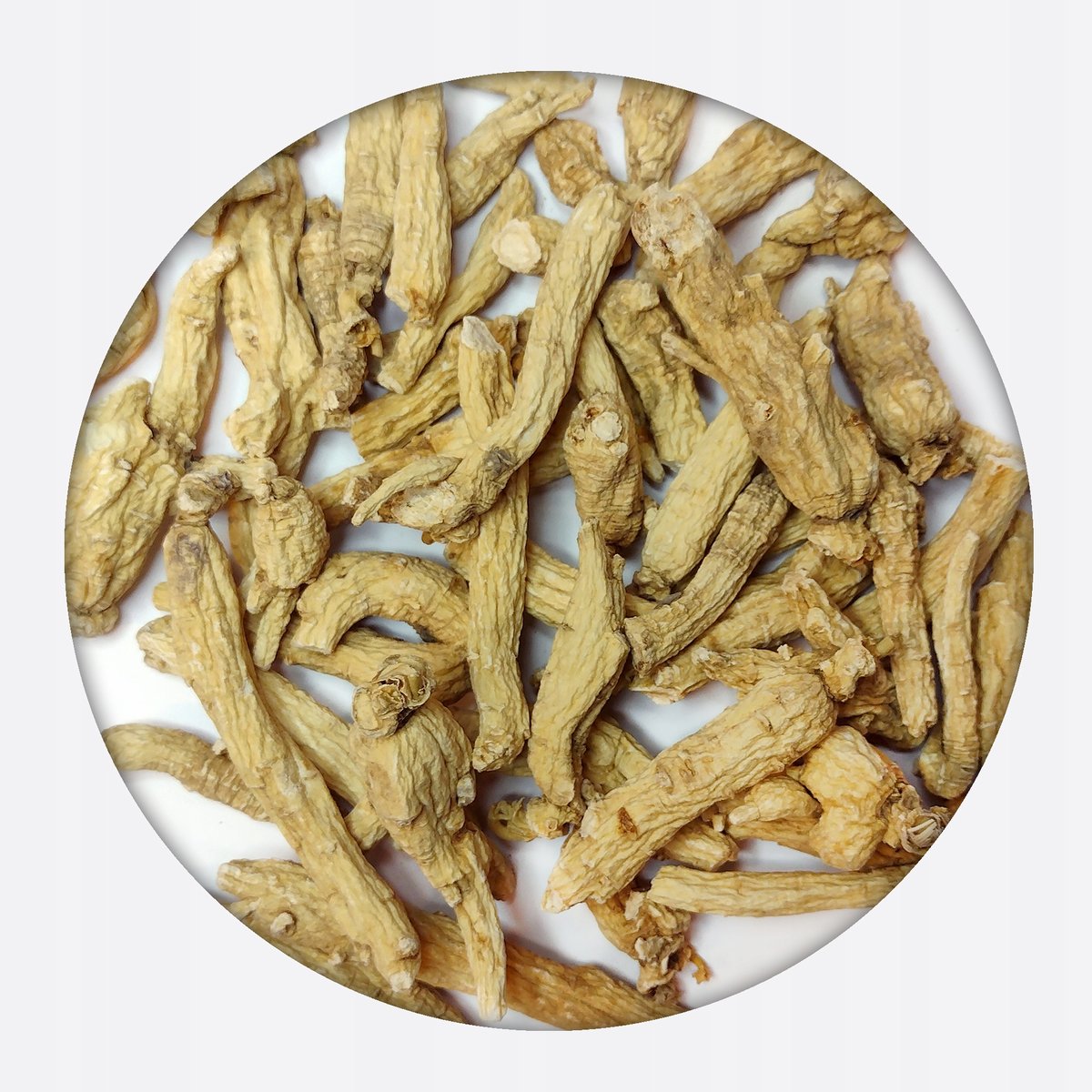 Żeń-szeń chiński panax ginseng 100 g korzeń CAŁY