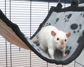 Savic HAMAK RELAX DE LUXE MEDIUM