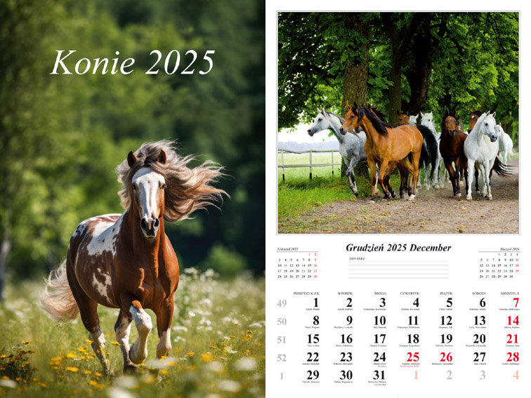 Kalendarz 2025 Ścienny 7-K Konie