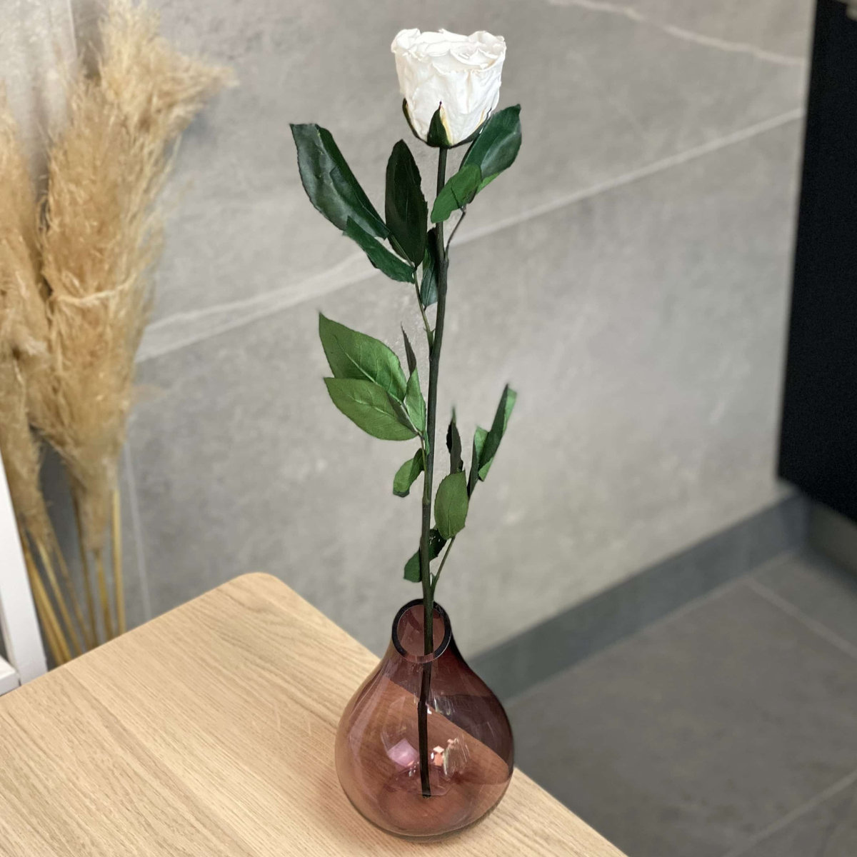 Biała Wieczna Róża na Łodydze 50 cm