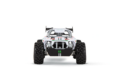 2,4GHz Team Rider
