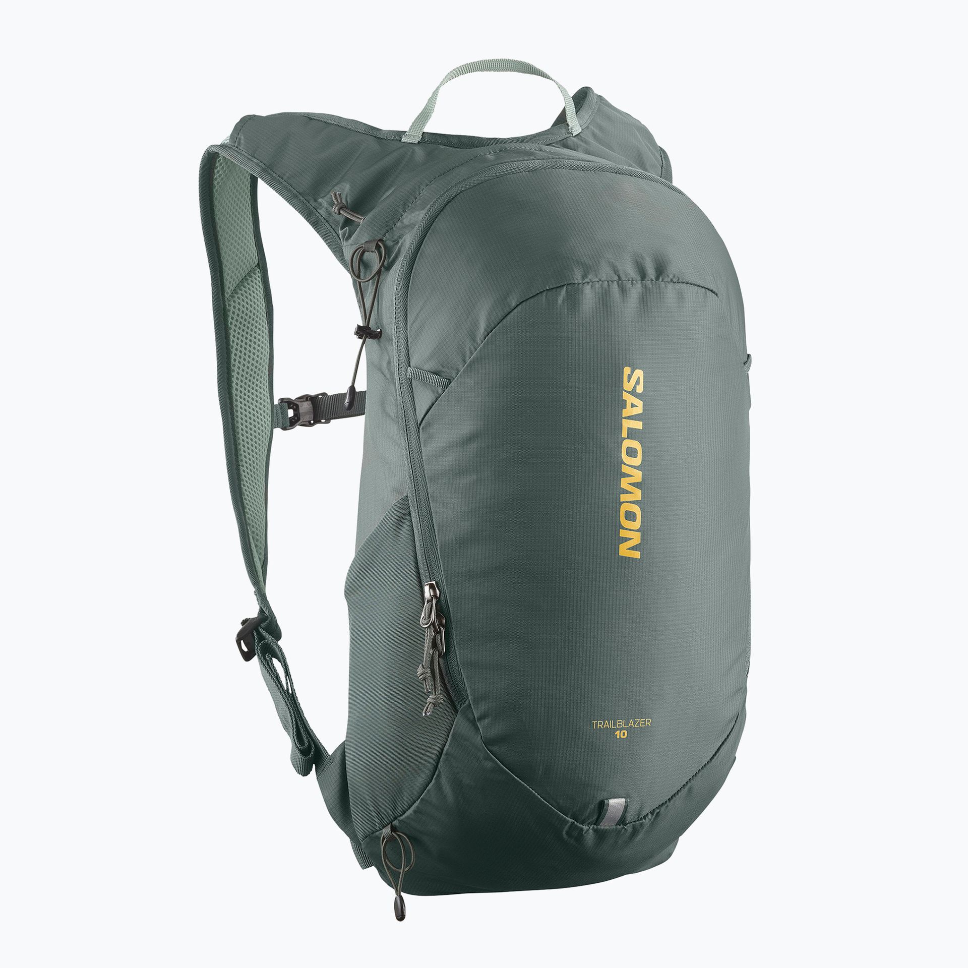 Plecak turystyczny Salomon Trailblazer 10 l urban chic/green milieu