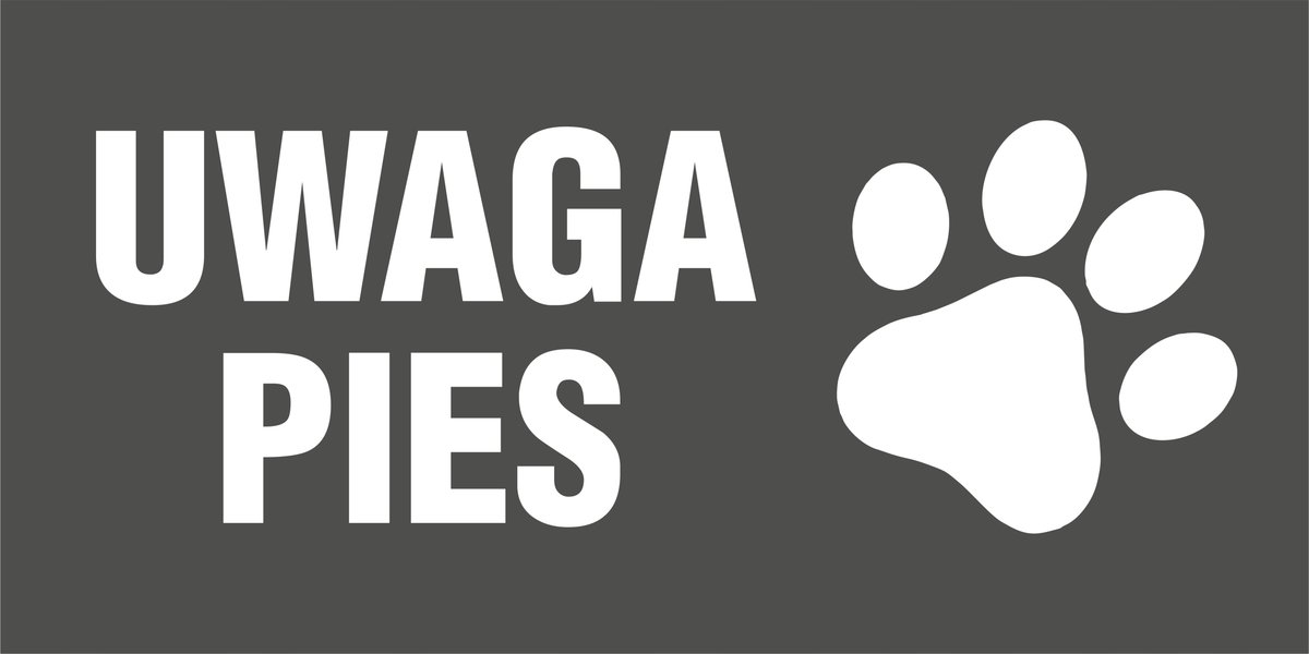 Tablica Szyld, Tabliczka na płot/dom, UWAGA PIES 10x20cm, PCV 3mm