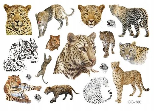 Tatuaże dla Dzieci Lampart, Tygrys, Lew (1 szt) CG580